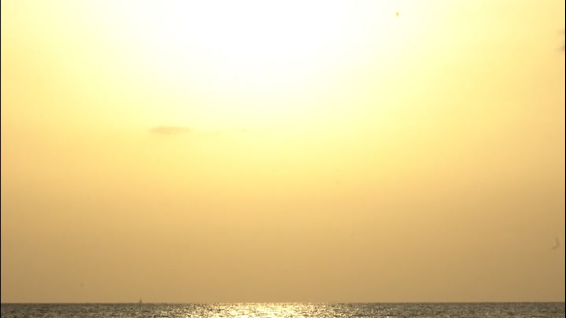 Tampa, Florida, just tied its record high last Friday, but you might be surprised to know that number is only 99 degrees. Tampa has never officially made it to 100 degrees.