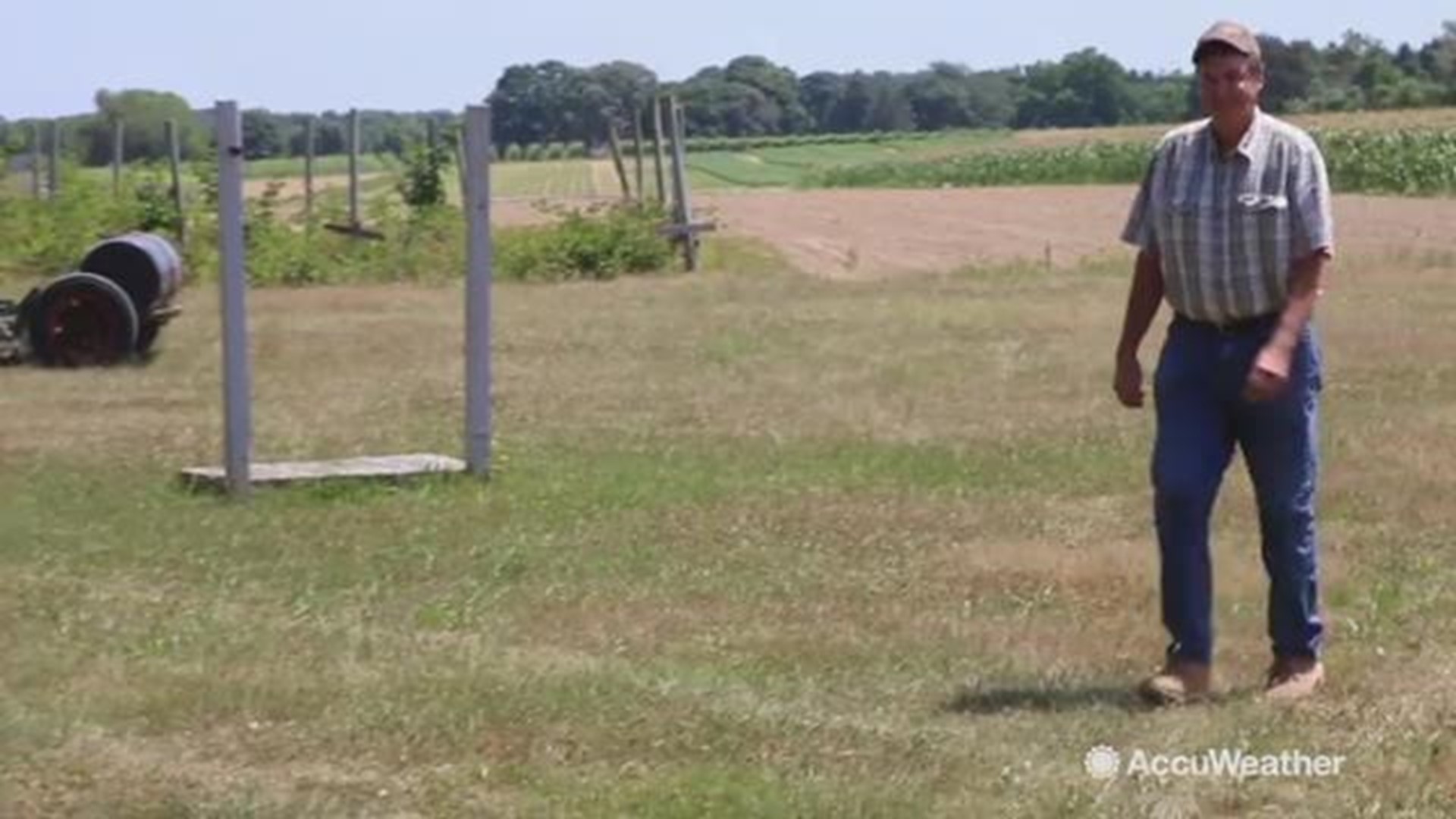 AccuWeather reporter Kena Vernon visits Krupski Farm in Peconic, New York to see how hot weather has been helping the owner thrive with good crops this year.