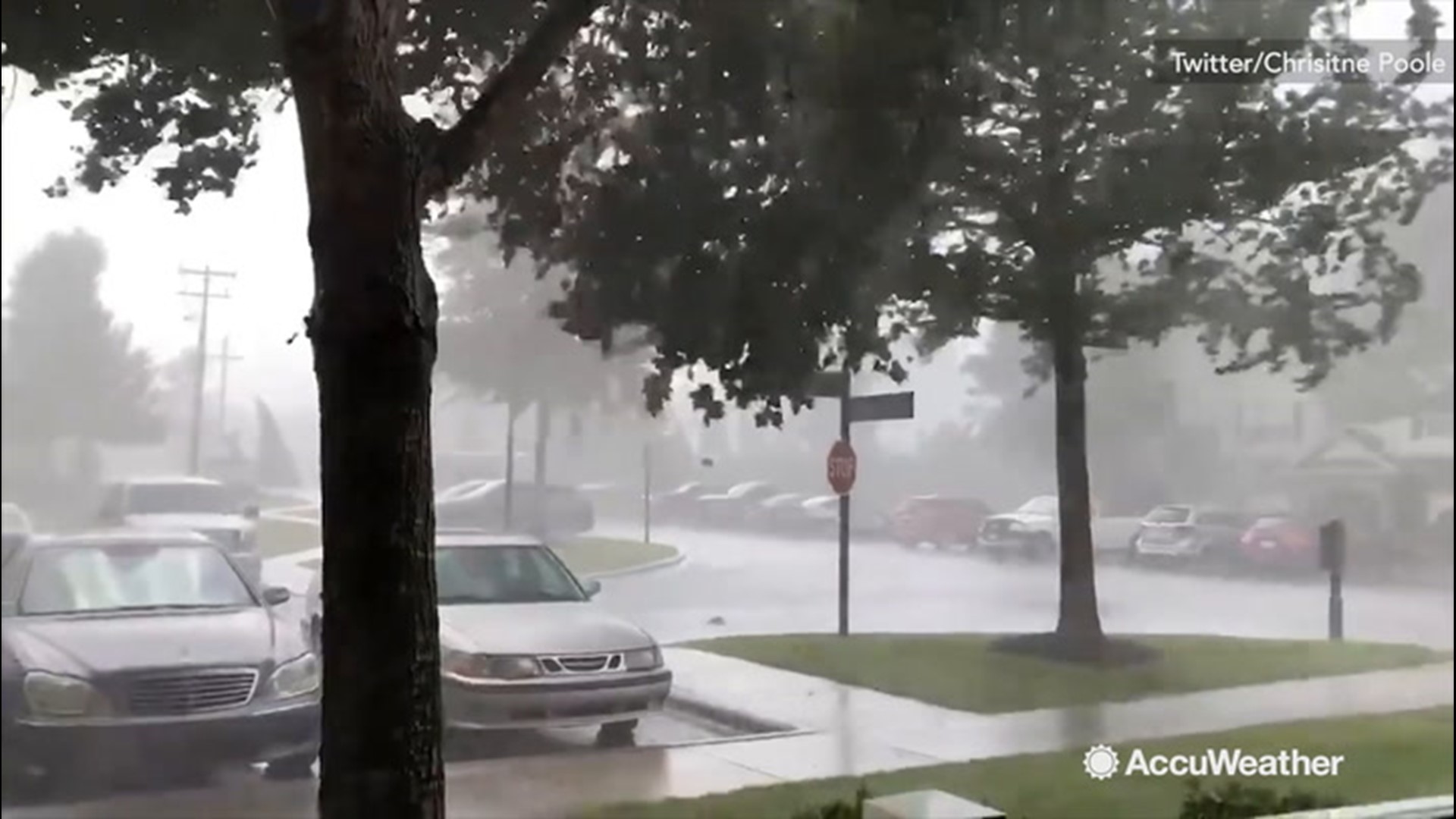 A storm passed through Kernersville, North Carolina, on Aug. 19, with intense winds rocking trees and signs around.