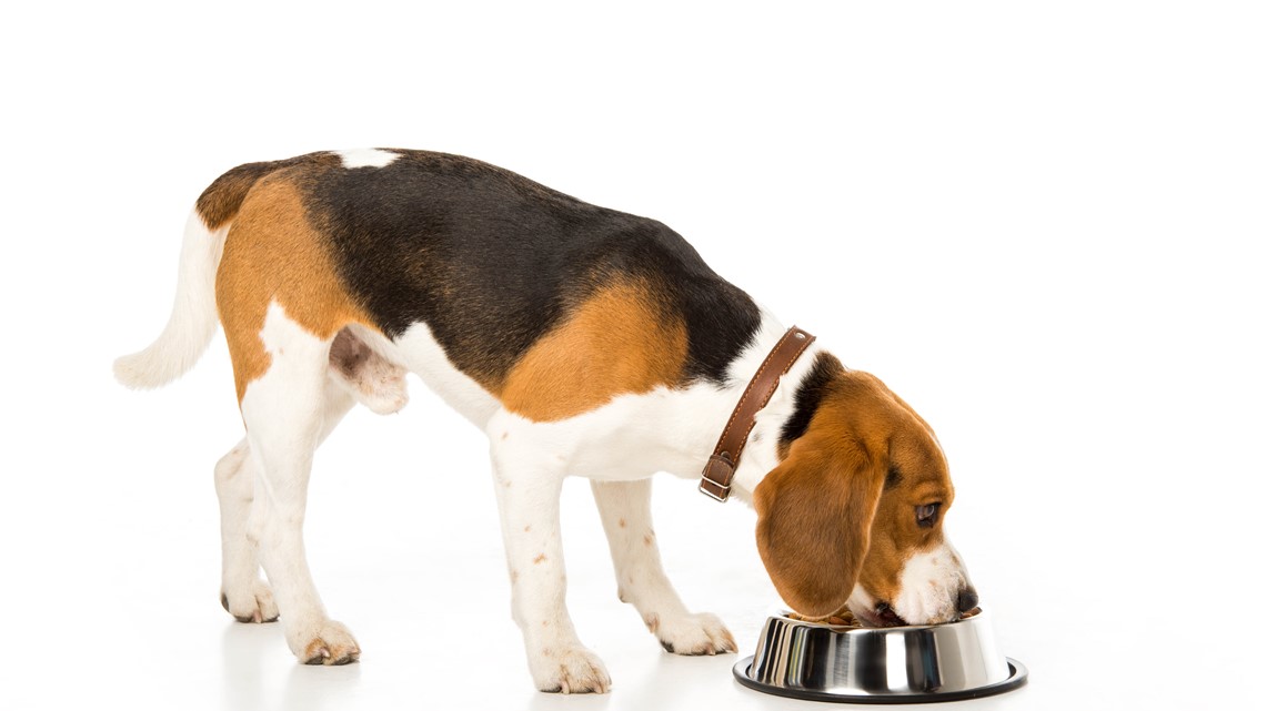 fda dry dog food recall 2018
