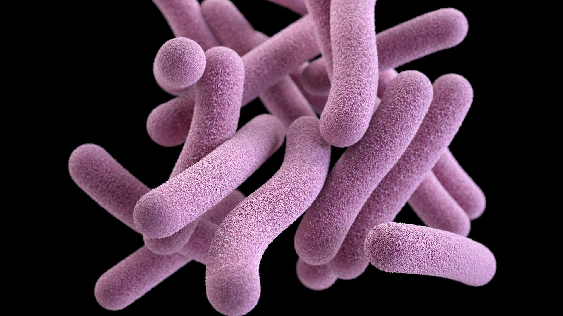 Epidemiologist Gabriela Guel joined KVUE News at Four to talk about TB and the risk it poses to the public.