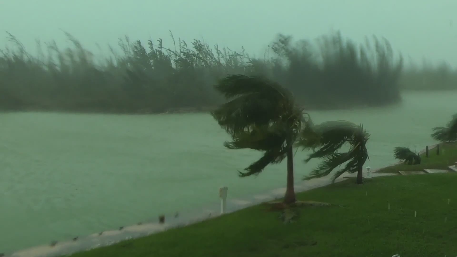 Video from Freeport in the Bahamas show proof of Hurricane Dorian's strength as heavy rain and strong gusts of wind whipped coastal waters and violently blew palm trees. (AP)