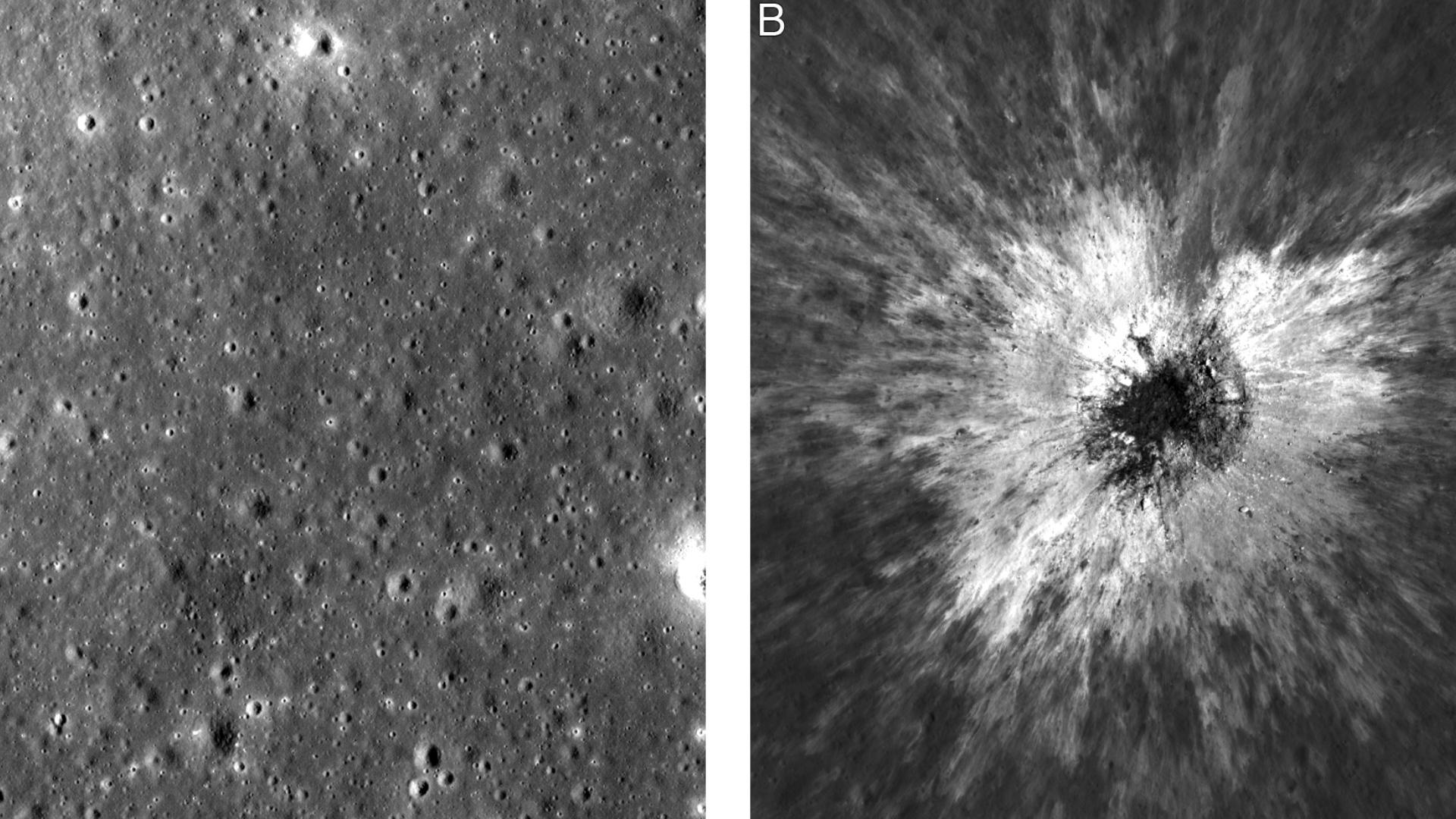 'I just stopped, dropped everything, and started looking' | NASA ...