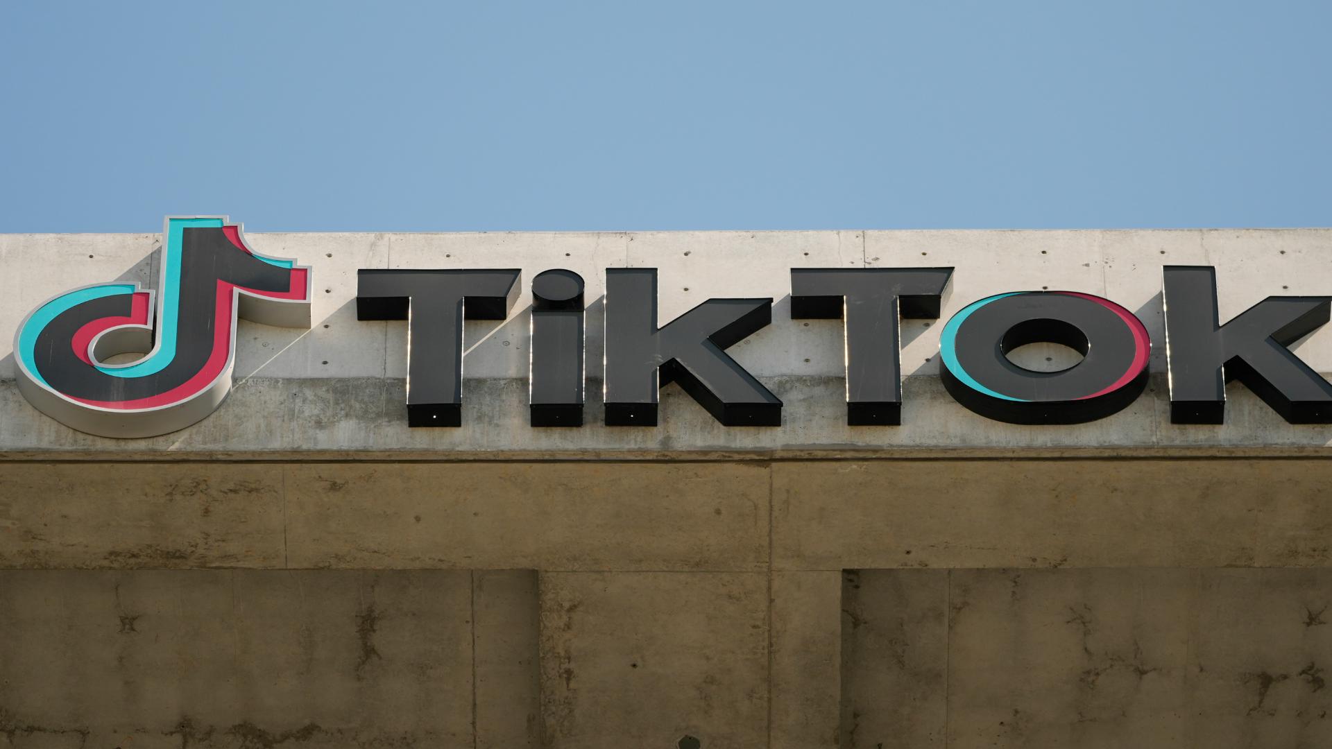 TikTok and its Chinese parent company Bytedance are fighting a potential ban of the popular app.