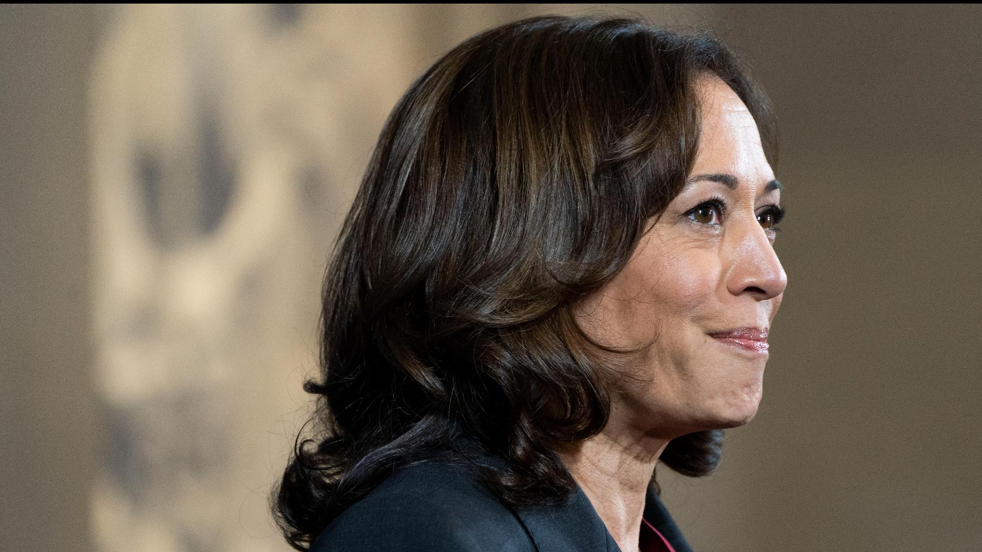 Democratic endorsements are continuing to roll in for Vice President Kamala Harris as she begins her presidential campaign.