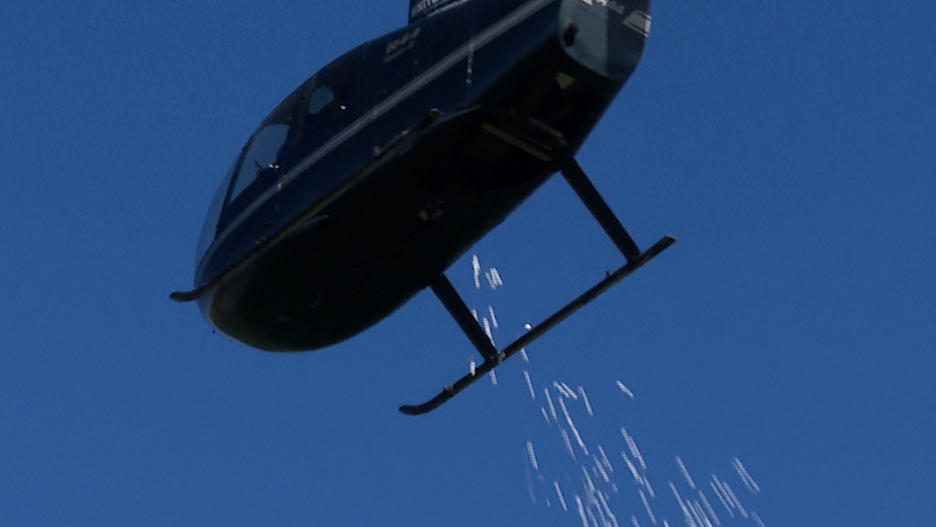 The annual Great Marshmallow Drop took place at Catalpa Oaks County Park in Southfield, Michigan, and was hosted by Oakland County Parks.