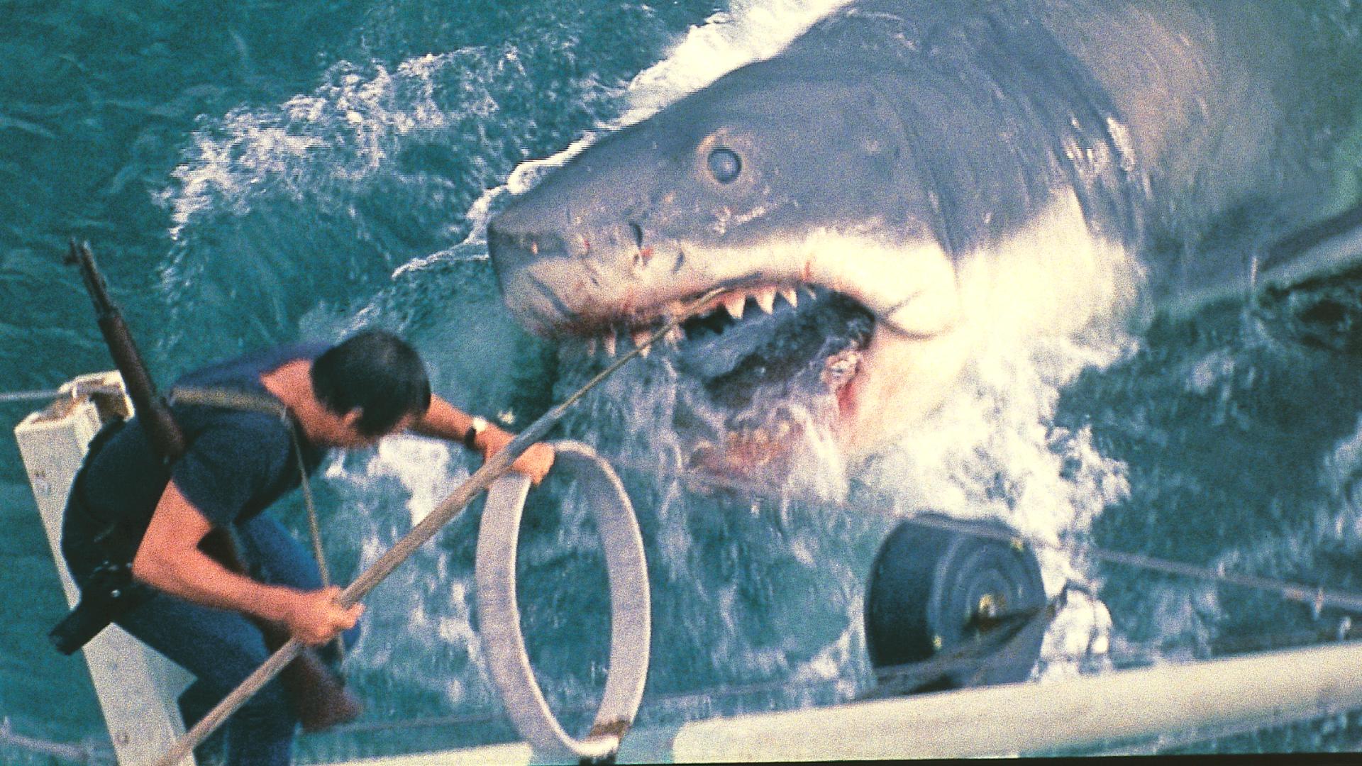 The documentary makers interviewed director Steven Spielberg about his high-stakes production, including all the issues his team had with the mechanical shark.