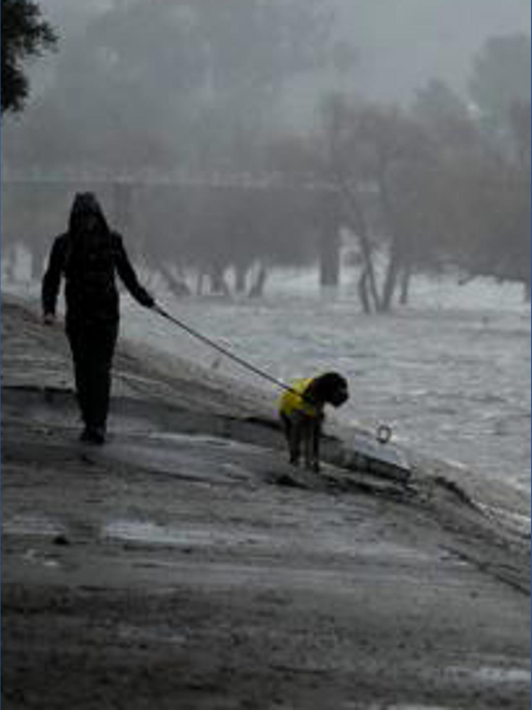 Texas Ramp Project helps bring freedom to older adults and veterans ...