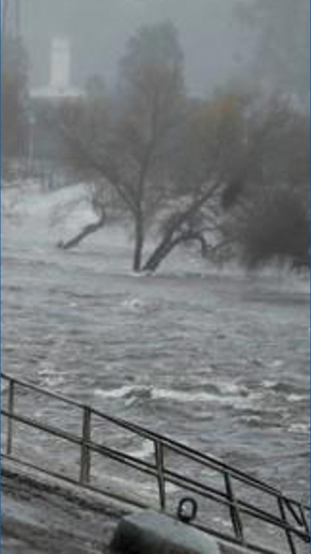 Texas Ramp Project helps bring freedom to older adults and veterans ...