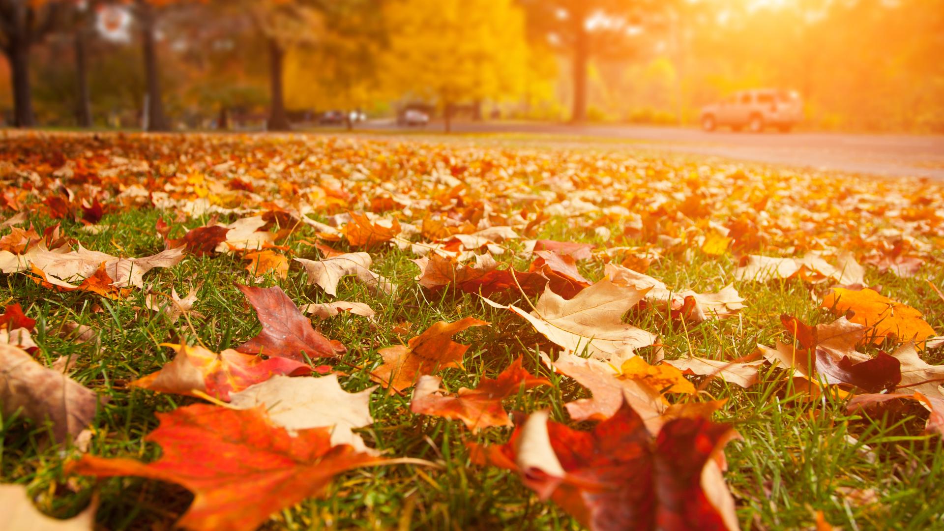 When is the first day of fall? Autumnal Equinox is almost here | kvue.com