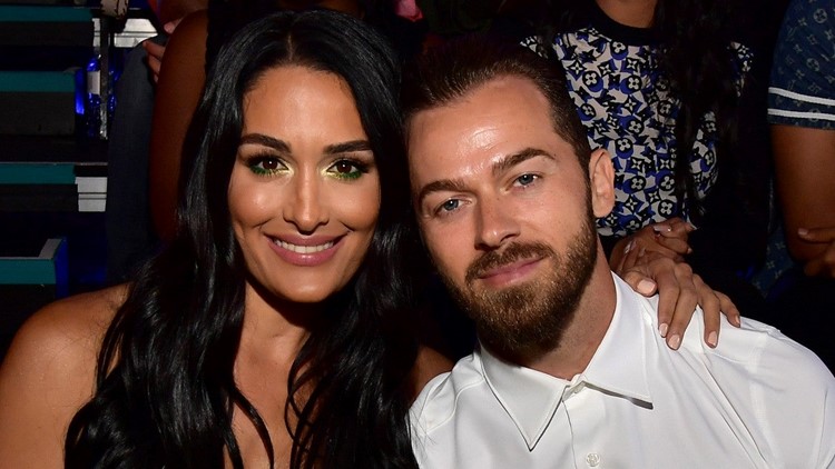 Who Is Nikki Bella's Fiancé, Artem Chigvinstev? - More About Nikki