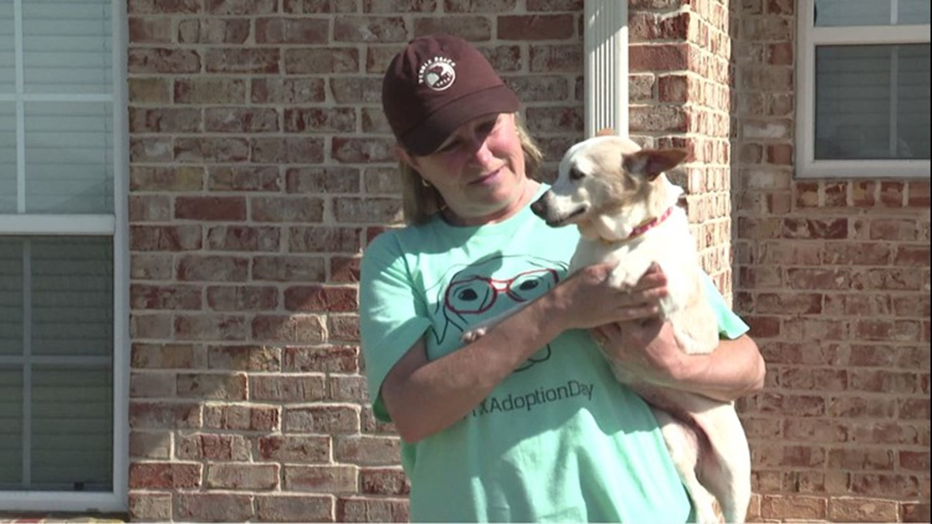 It was the Favreaus retirement dream to help animals no one else wanted. At Woofhaven Farm, the Central Texas couple gives foster dogs new hope.