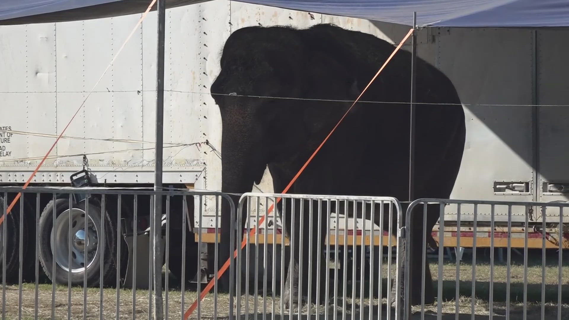 The operators of a circus in Waco are addressing a social media post that accused them of mistreating one of their animals.