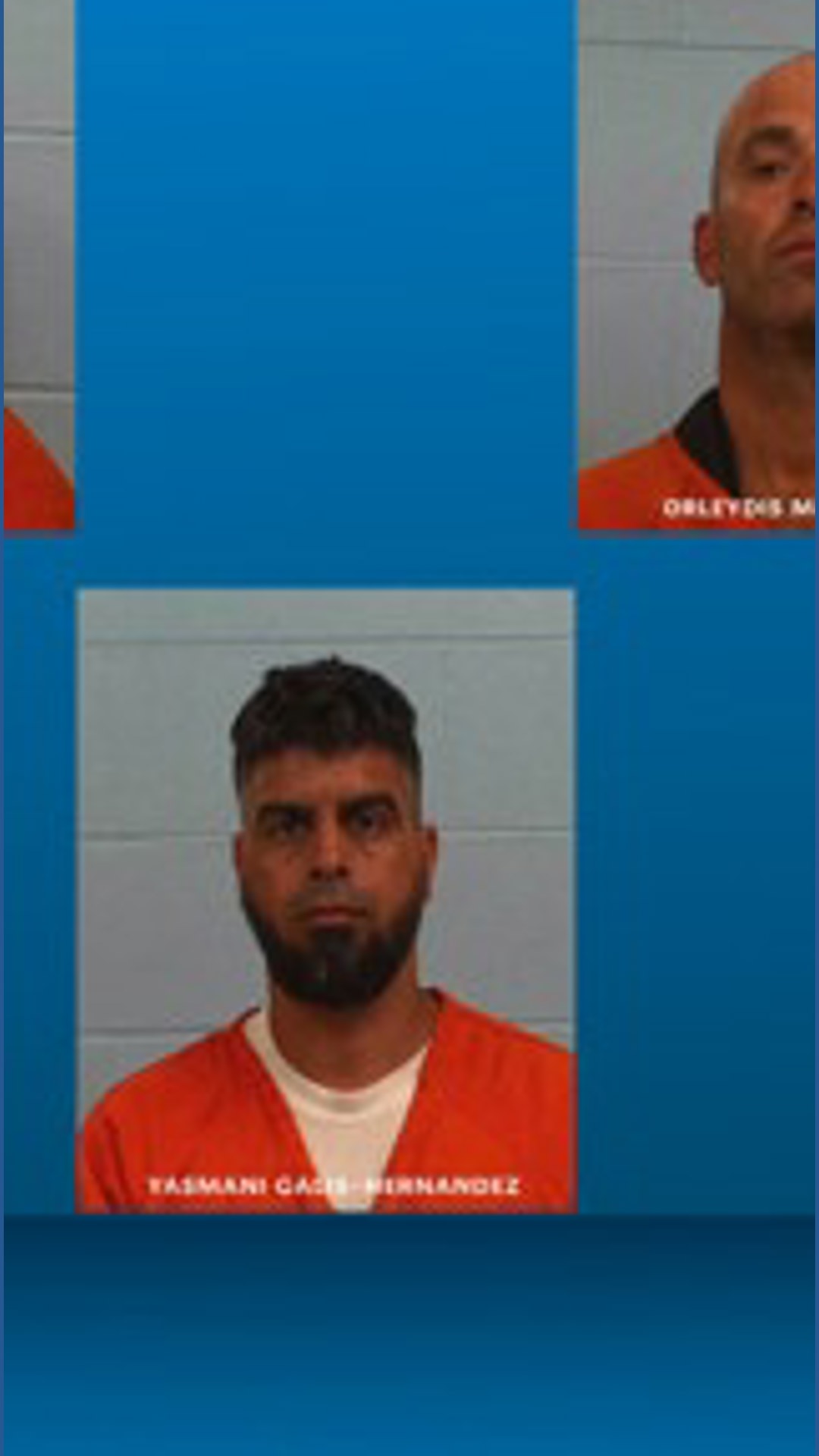 Five arrested in Williamson County cattle theft ring tied to 70 stolen ...