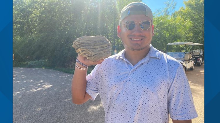 Hewitt man makes rare discovery; finds fossilized mammoth tooth near Waco hiking trail
