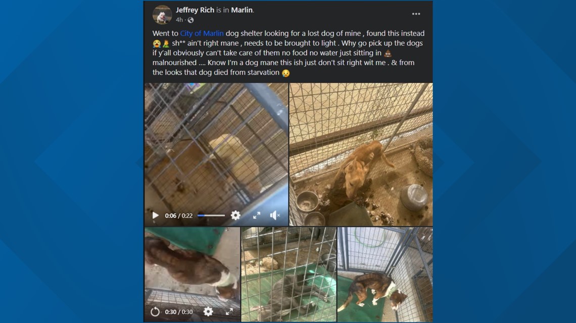 Marlin, Tx Animal shelter conditions cause outrage
