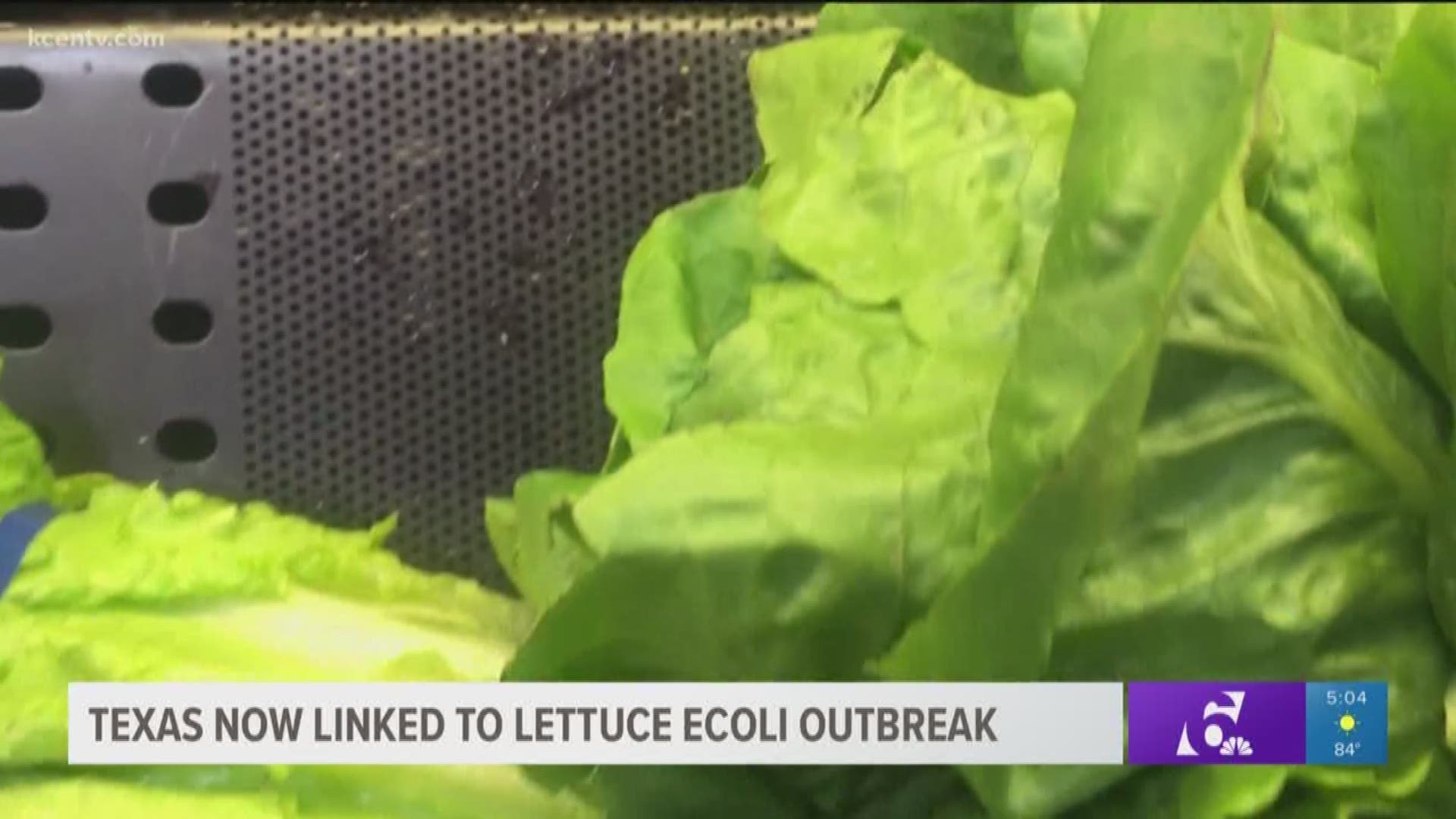 Texas is now tied to the Ecoli outbreak linked to romaine lettuce. 