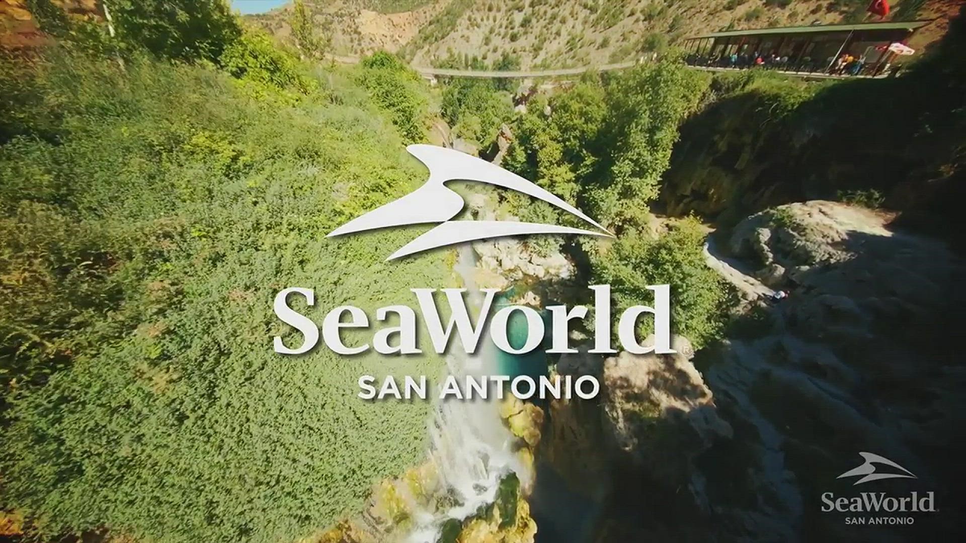 The new attraction will be the ninth ride to join SeaWorld San Antonio’s portfolio of thrilling rides.