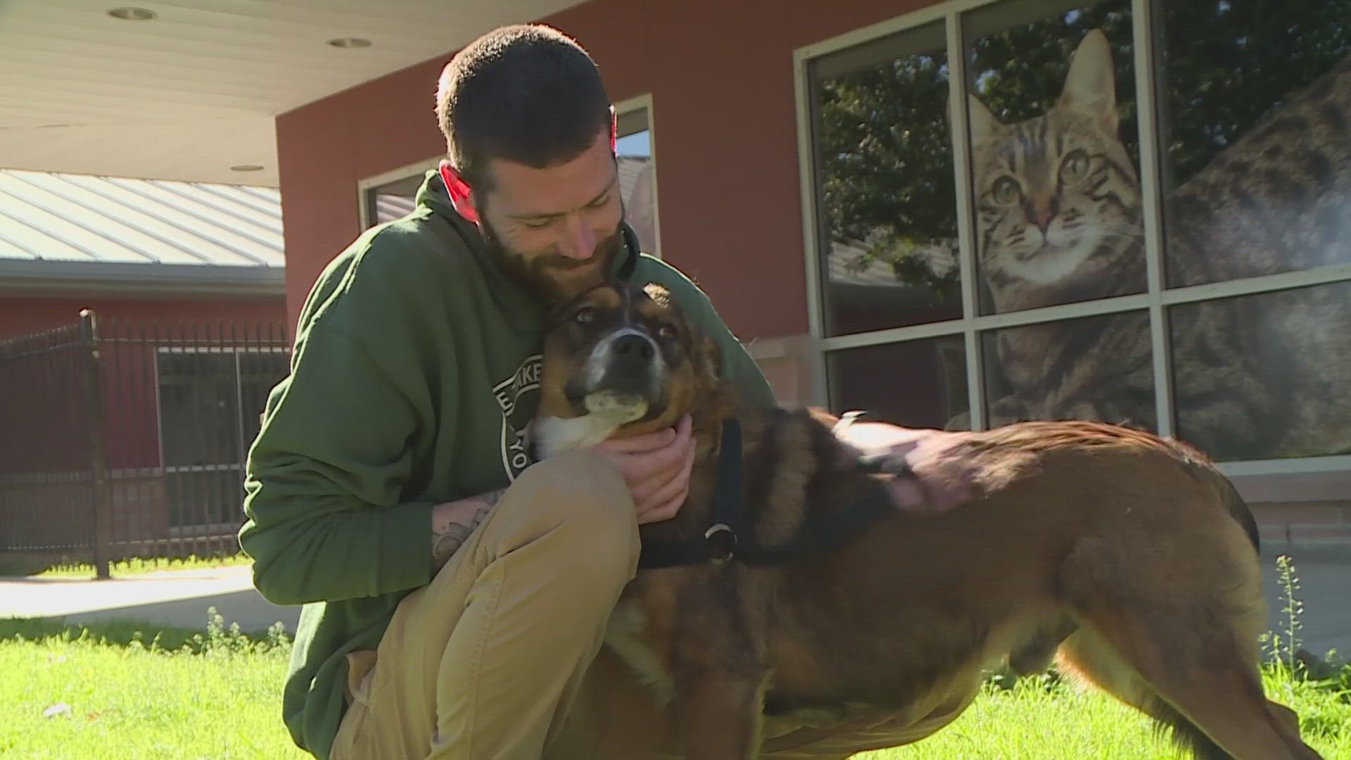 Some pets freak out from loud fireworks or thunder, and some will even run away. There are other dangers to be aware of too.