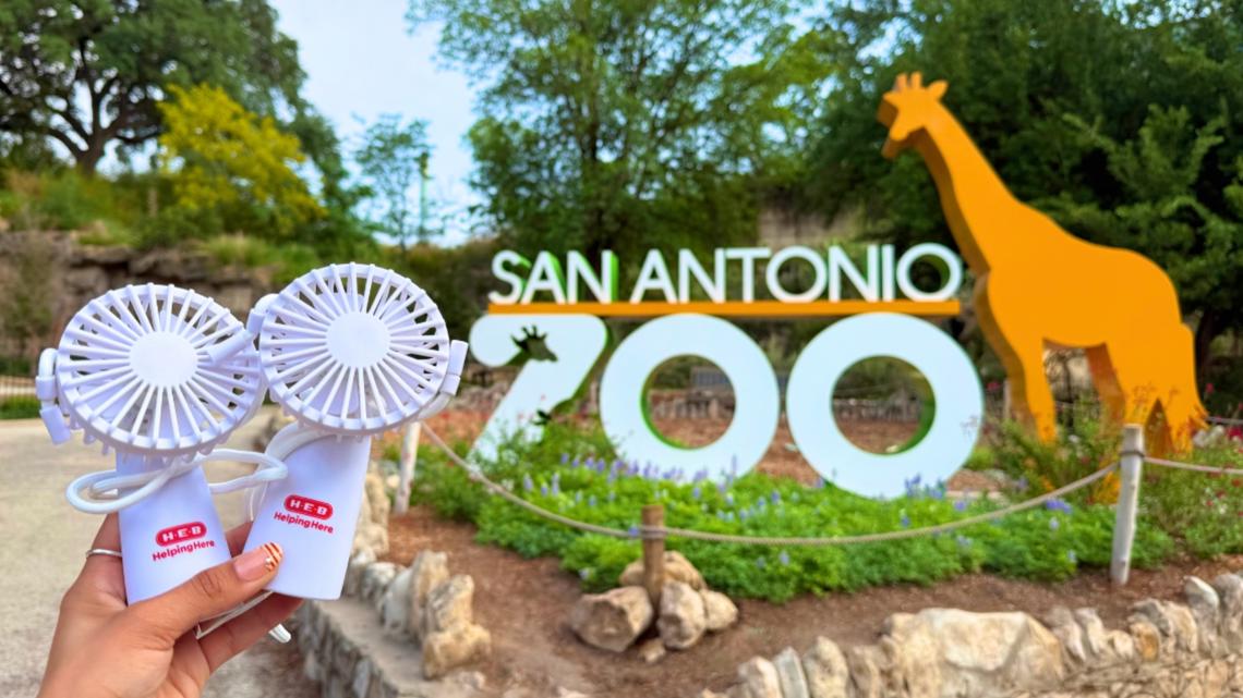 San Antonio Zoo offers free admission for Texas teachers during ...