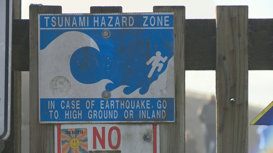 What is tsunami in short