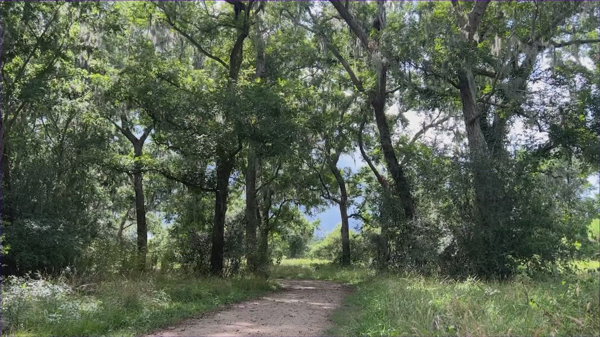 On Sunday (11/5), you can get into any Texas State Park for free. Texas has more than 80 parks. There are four across the Greater Houston area.