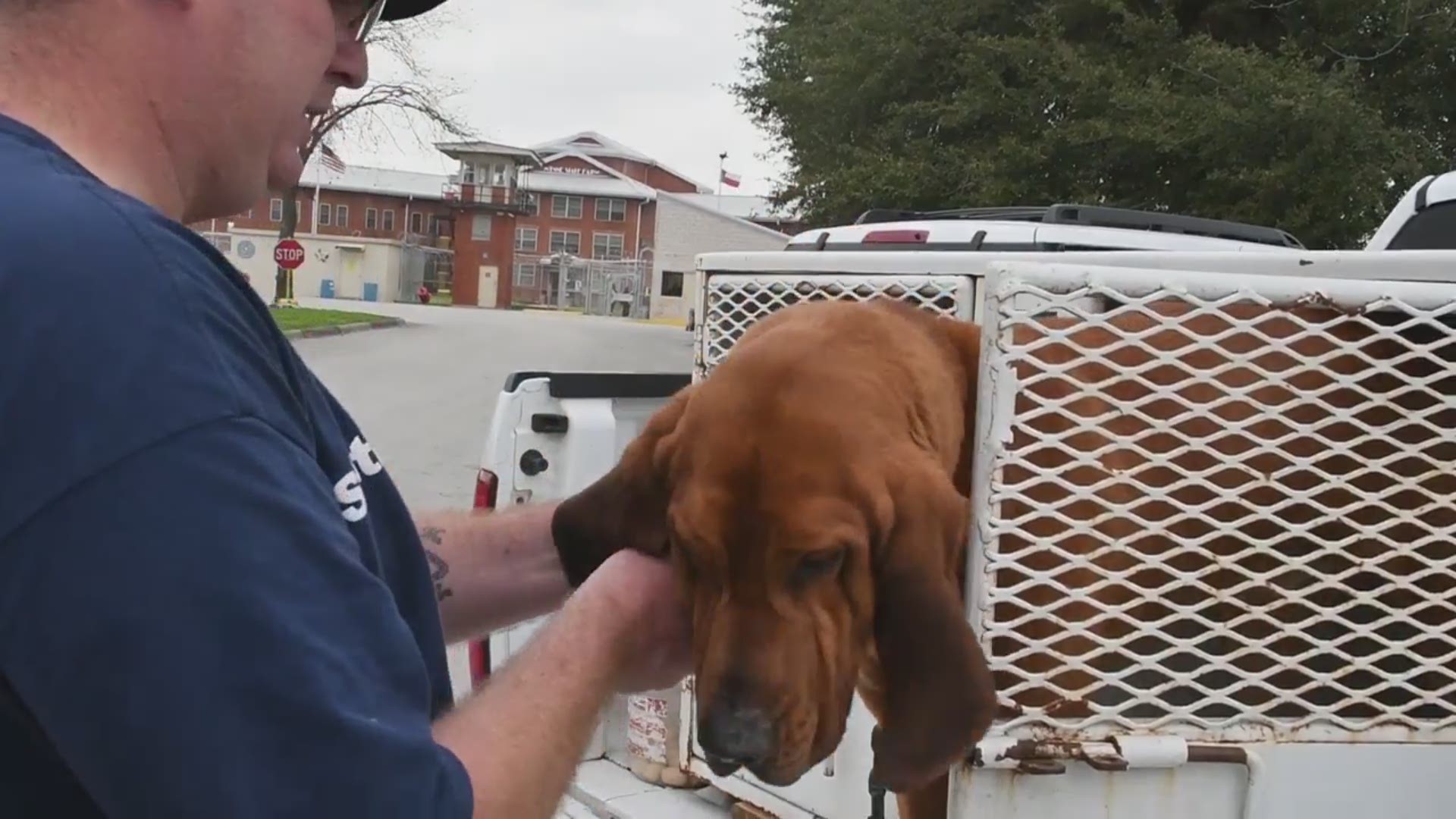 Wynne Unit bloodhound Raider caught the scent at the location where Pavol Vido's vehicle was left, and followed that 50 yards to a boat, where the suspect was found hiding. / Texas Dept. of Criminal Justice