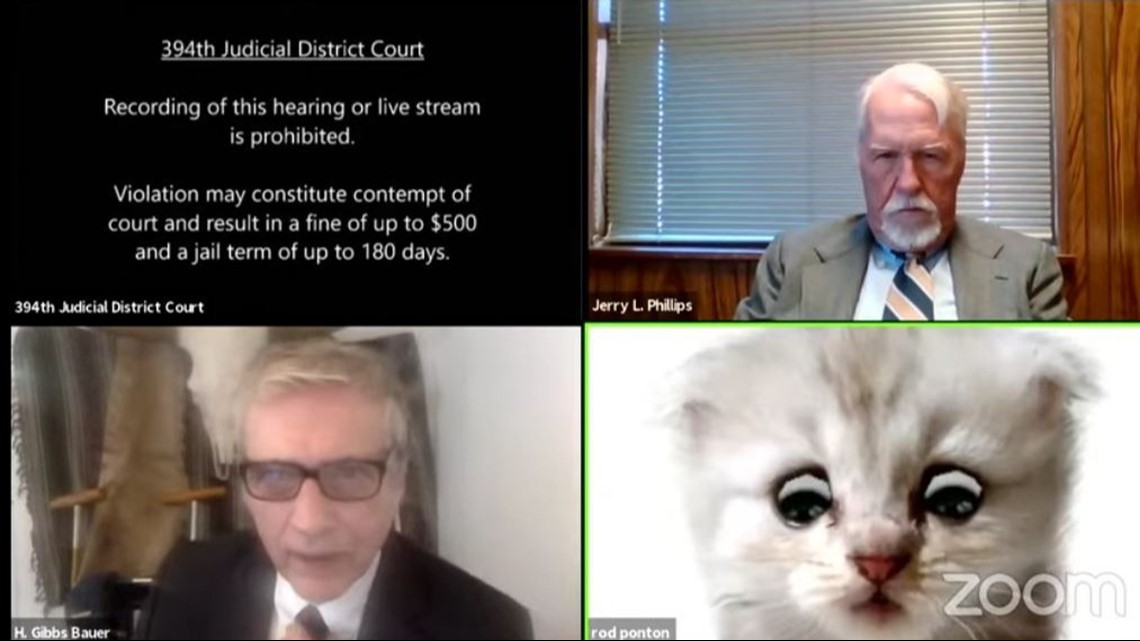 'I'm here live. I'm not a cat' | Cat disrupts attorney Zoom call - Vimarsana News