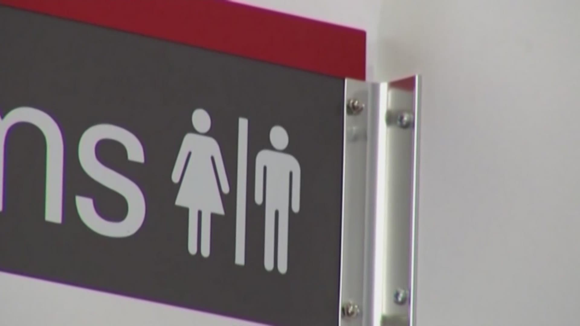 More than 250 people from around the state traveled to Austin on Friday, most of them planning to speak out against the highly controversial bathroom bill. 