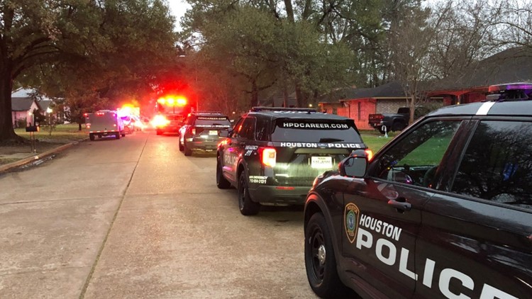 Man mauled to death by dogs while protecting his dog in northwest Houston, police say