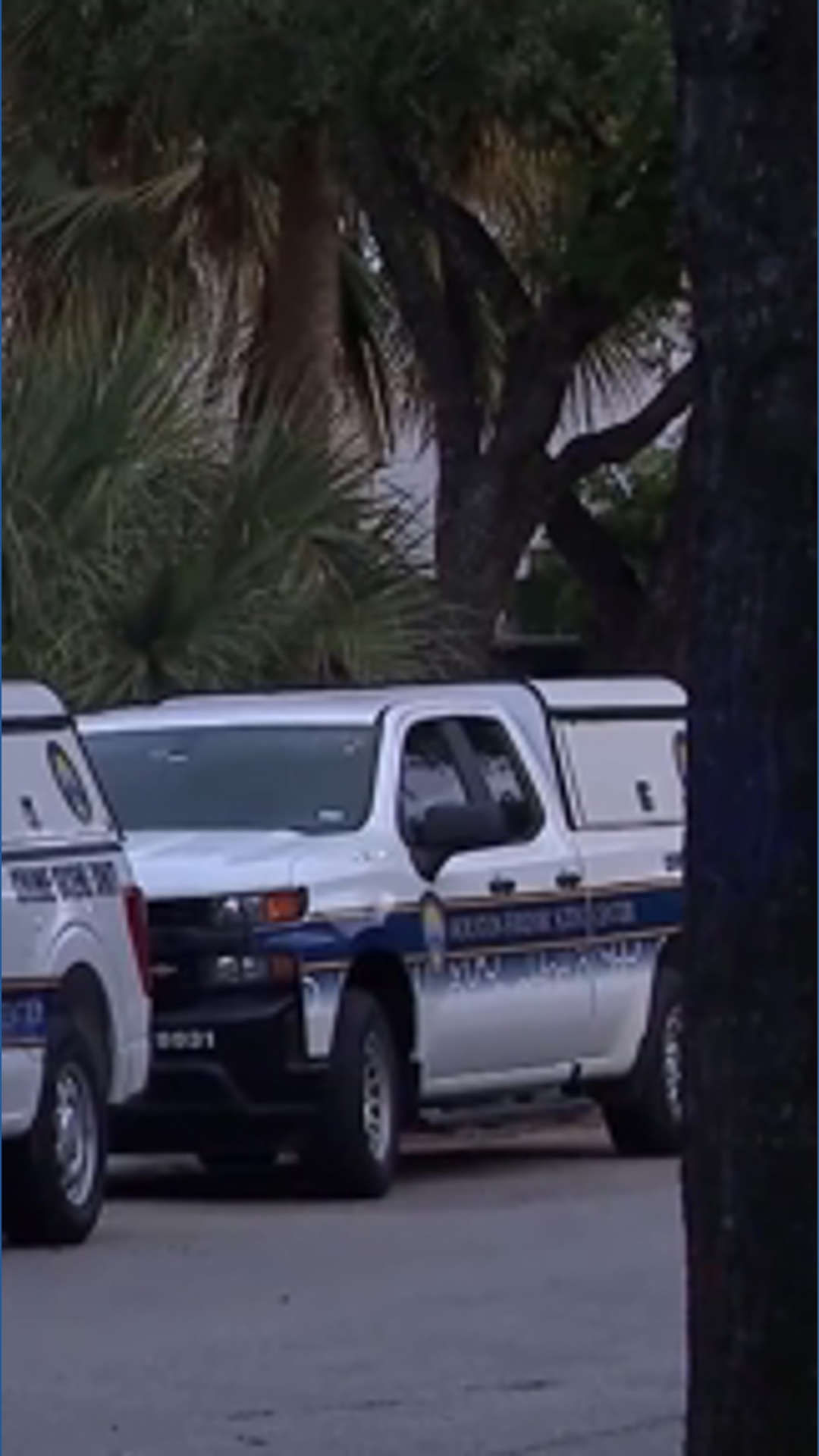 Houston-area family of 4 found dead; police say evidence points to murder-suicide