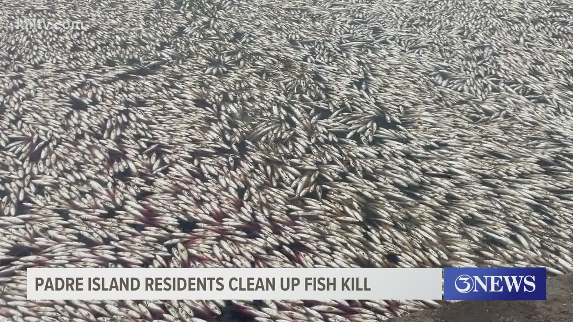 An estimated 6,000 pounds of fish was collected near Encantada Avenue.