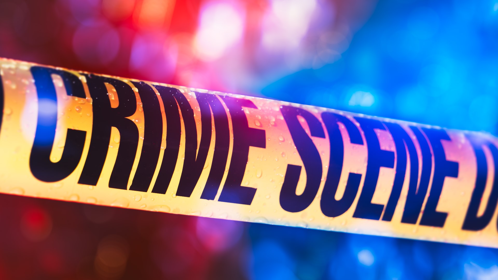 Man charged with murder after Elgin woman found buried in backyard ...