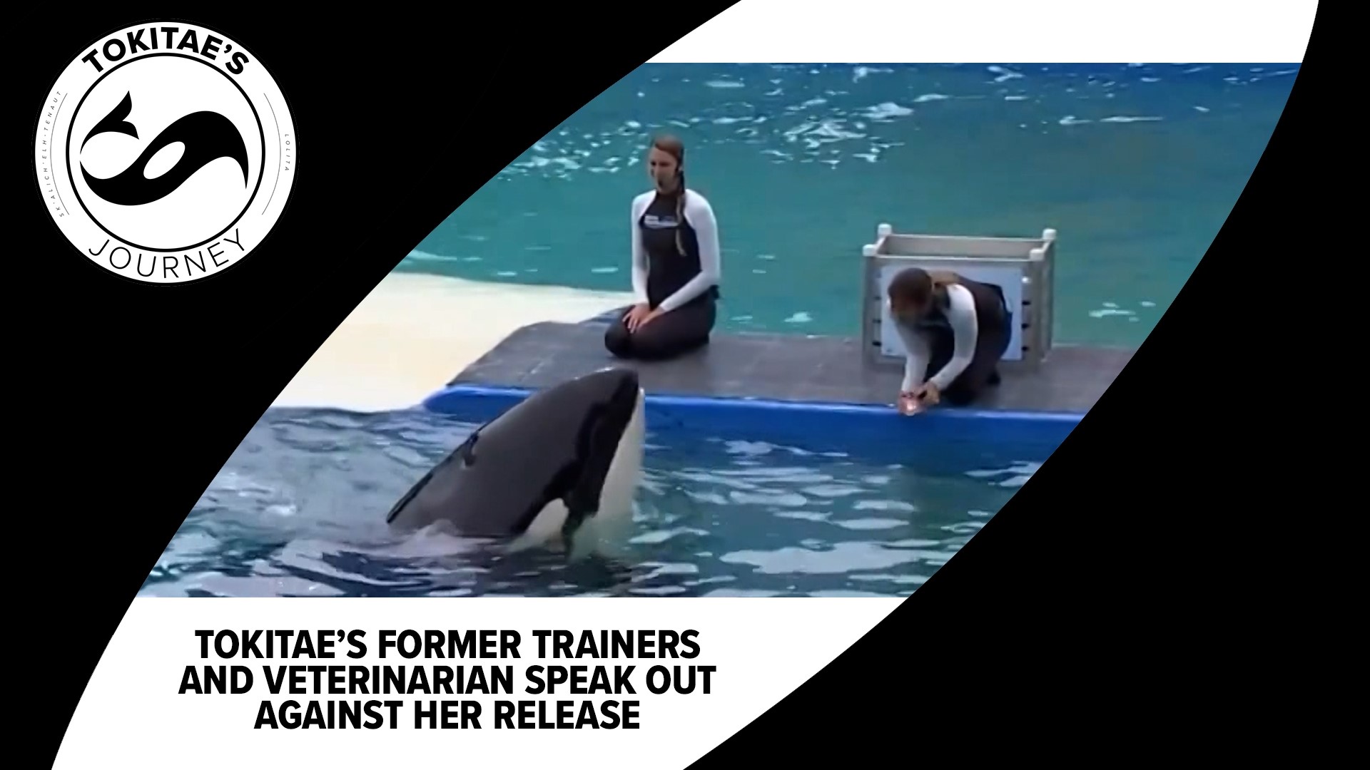 A group of former trainers and vets say they don’t believe Tokitae can survive transport at her age, and even if she does, her release could endanger her own family.
