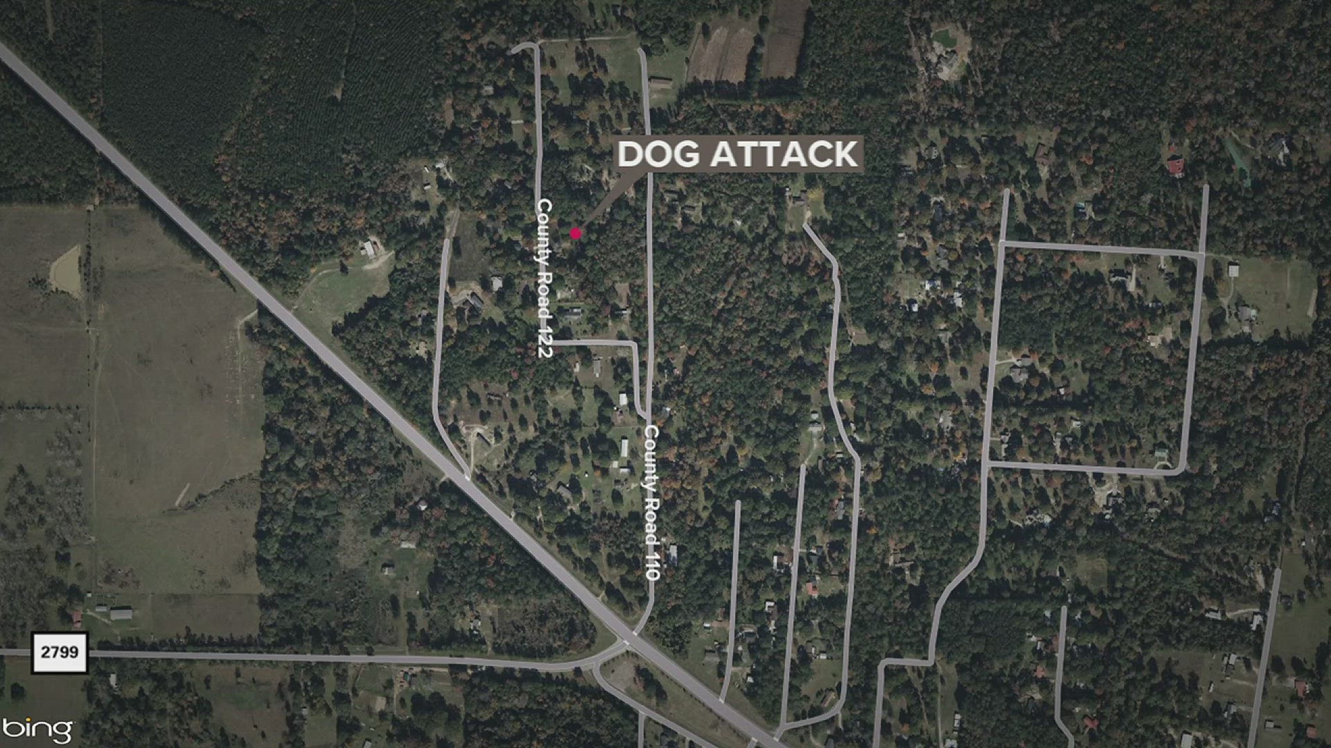 Family seeks support for woman after dog attack | kvue.com