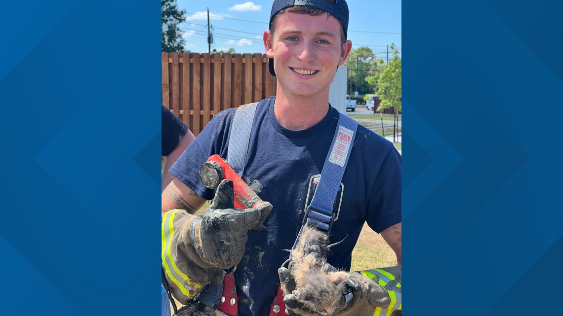 Firefighter climbs down 10-foot manhole, crawls 30 feet to rescue kitten from storm drain in Vidor