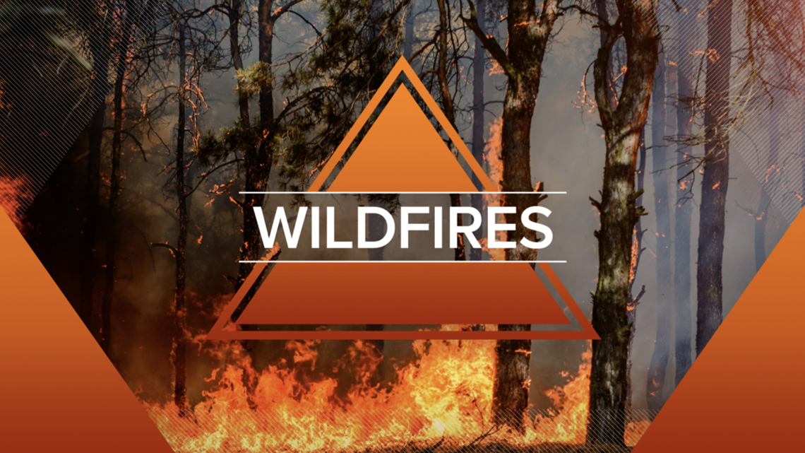 Bastrop firefighters battle small wildfire Wednesday - Vimarsana News