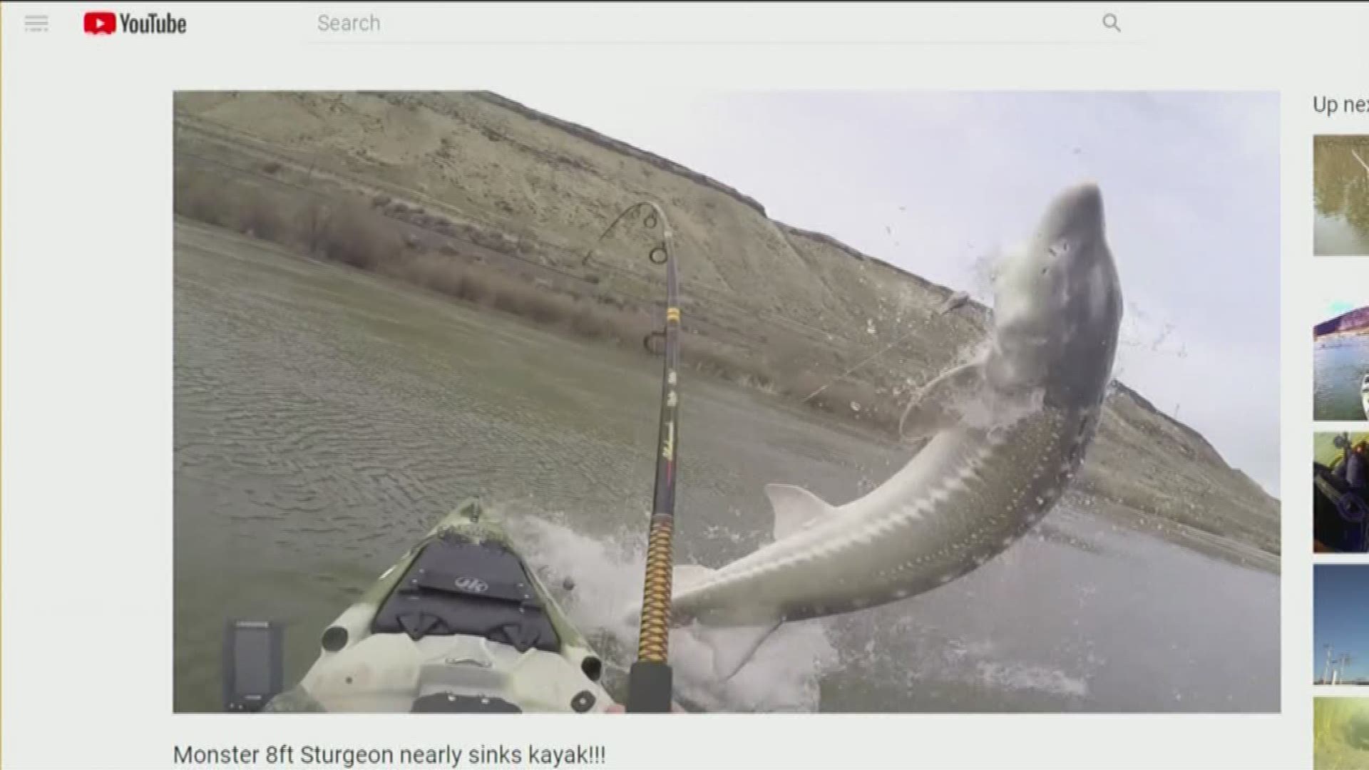 Watch the incredible video of the big catch!