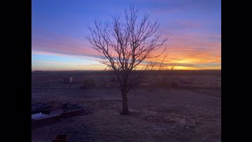 11 photos of the pretty Colorado sunrise on Monday, Feb. 1 ...