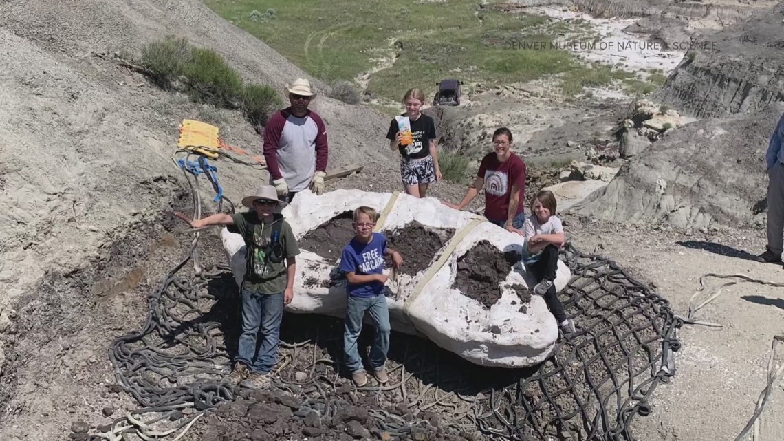Rare T. rex fossil going on display in Colorado - Vimarsana News
