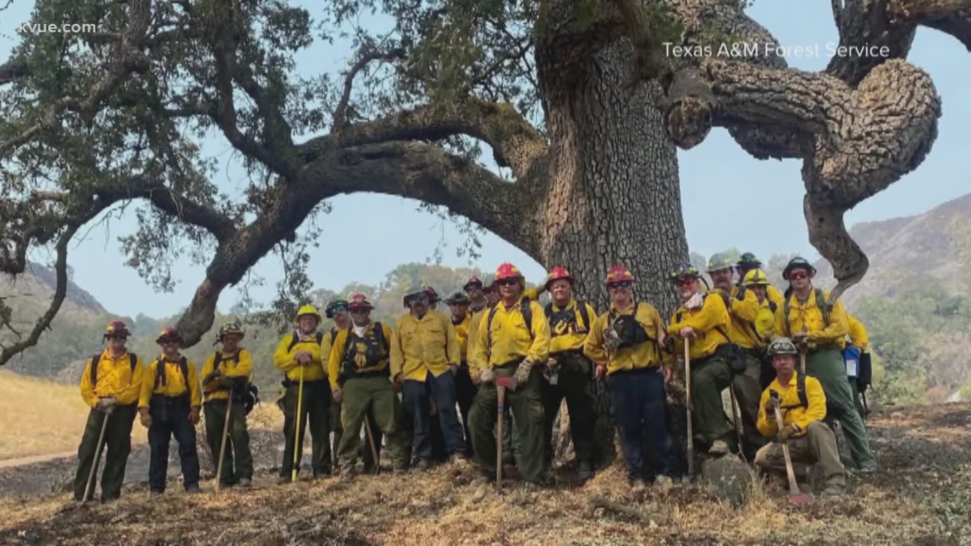 Two hundred Texas firefighters are in California to help battle the 29 wildfires currently burning there. Jenni Lee spoke to one of the task force leaders.