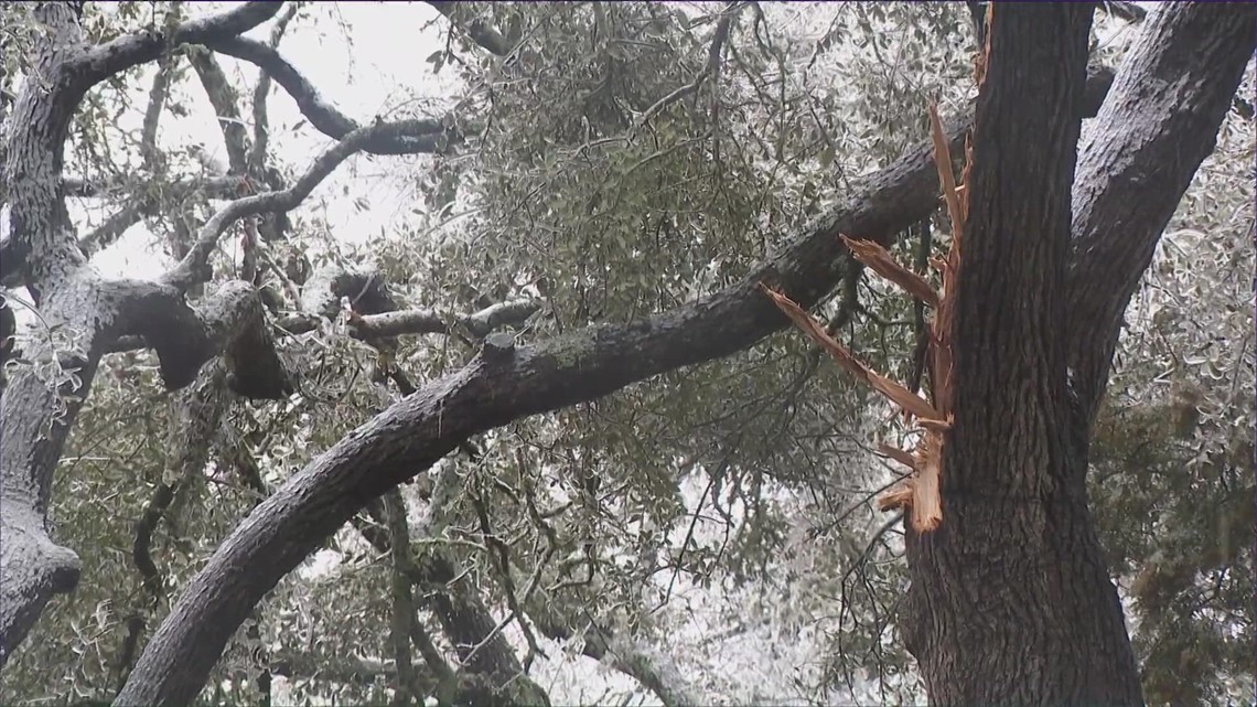 Williamson County totals $12M in damage following ice storm | kvue.com