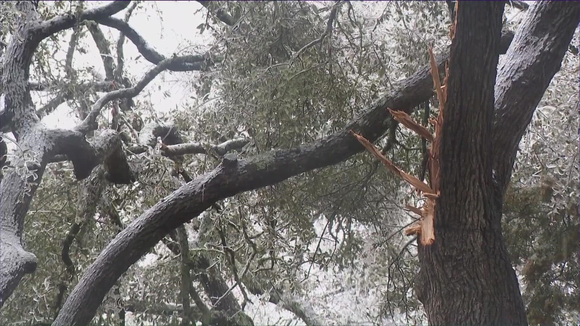 Across the county, $12M in damage from tree limbs and icing has been totaled. This includes $8.6M from the county itself and the rest from the surrounding cities.