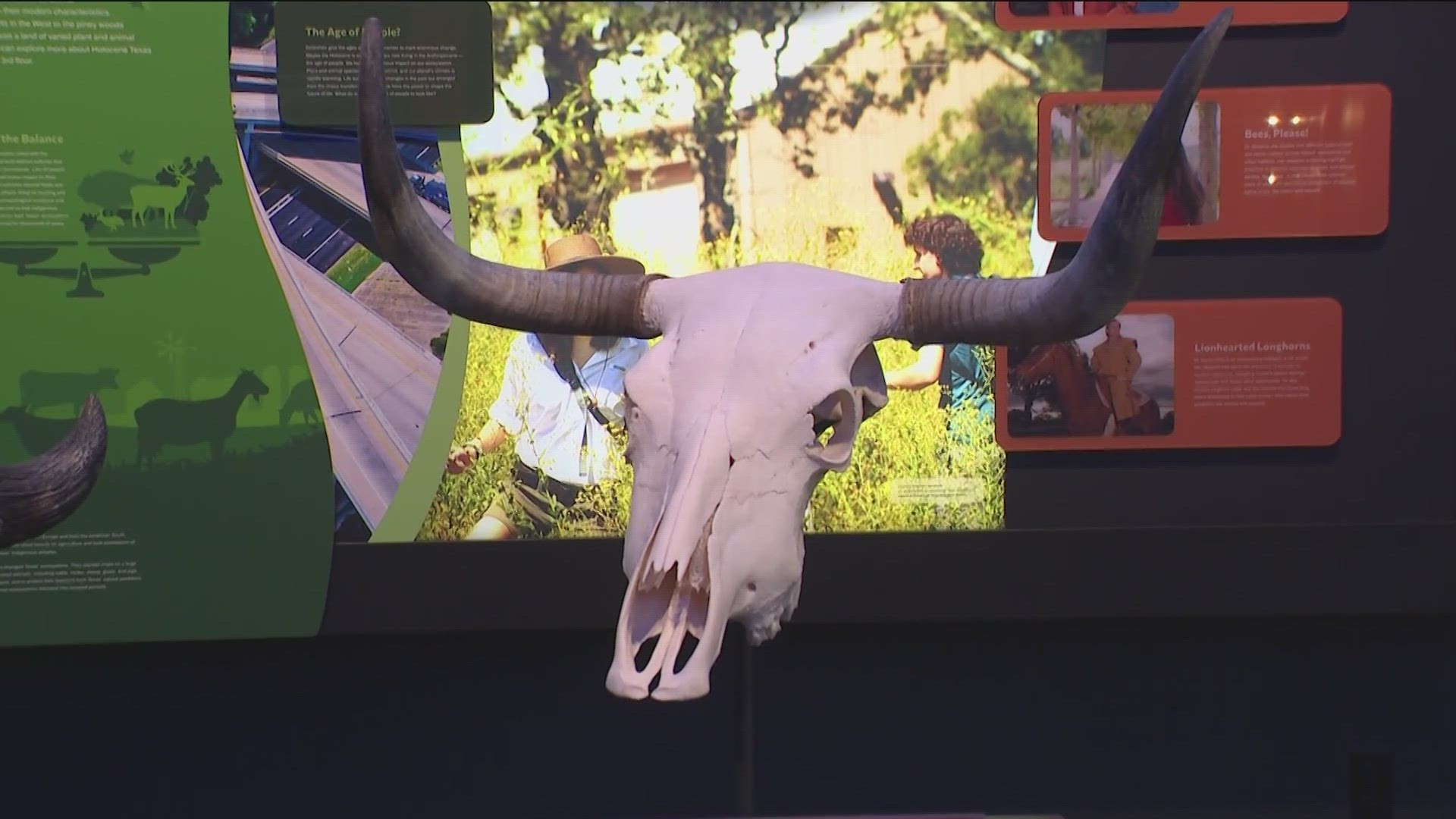 The Texas Science & Natural History Museum is the Austin area’s only science and natural history museum.