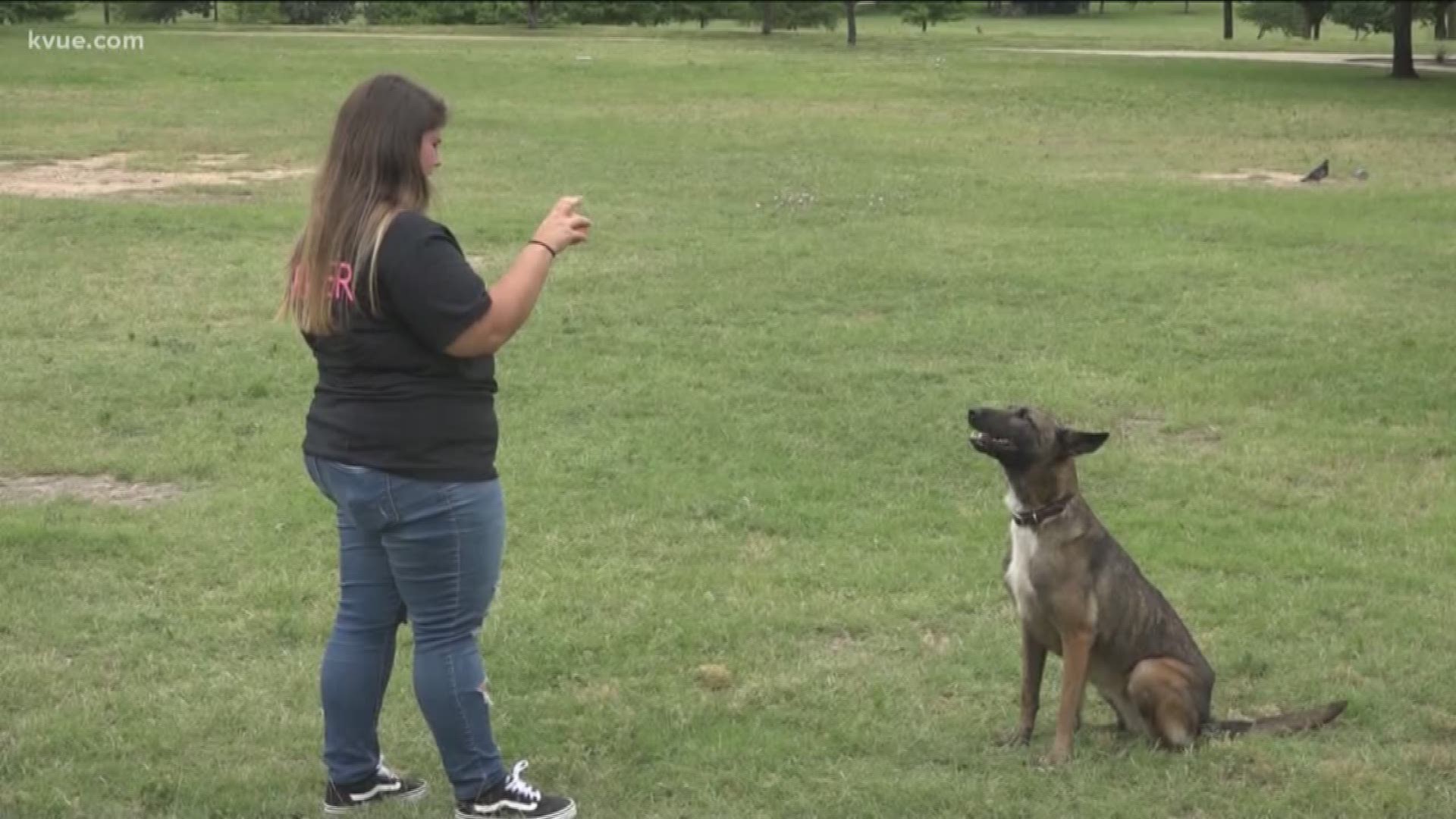 KVUE met two trainers who work to fix that aggressive behavior.