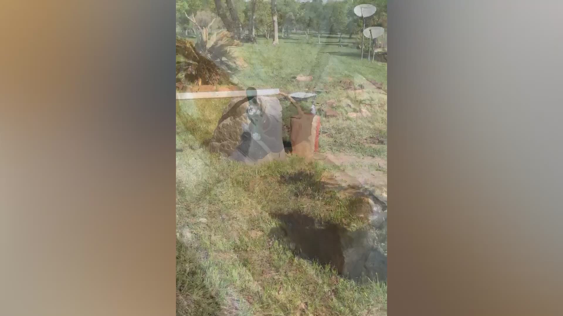Brown water comes out of homeowner's water well due to pipeline construction nearby.