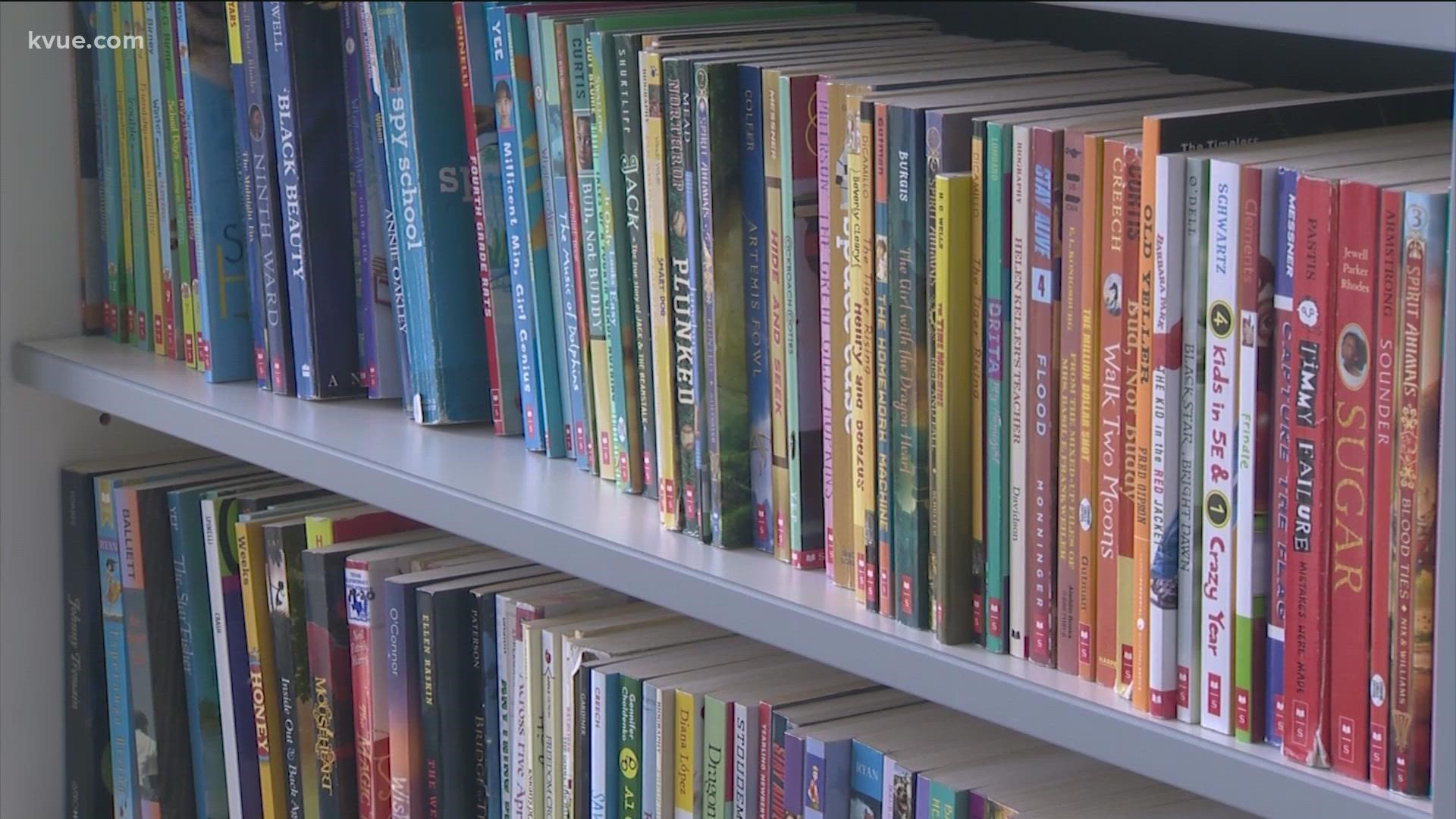 Library books are at the center of a federal lawsuit filed Monday by seven Llano County residents.
