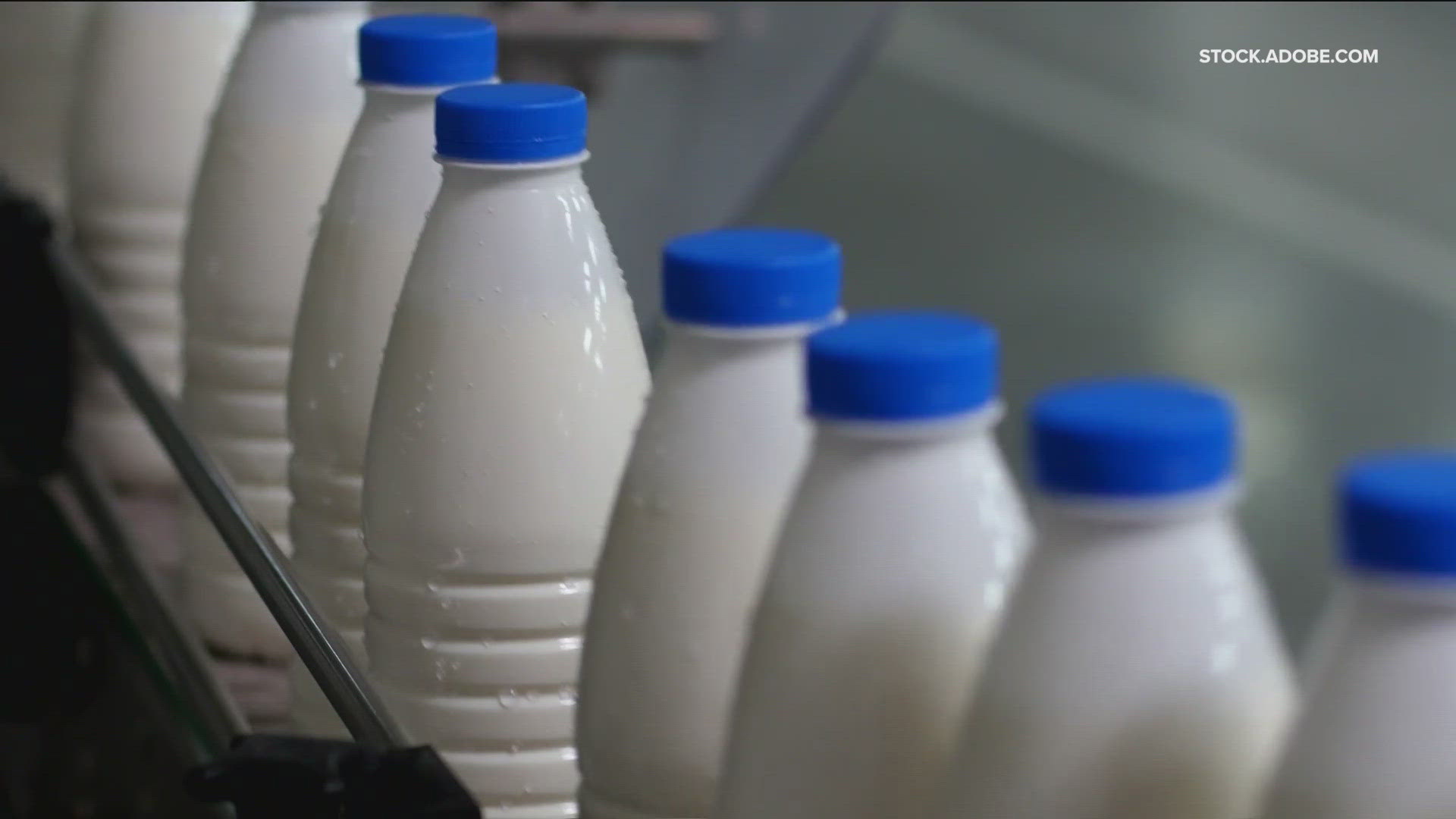 Some milk samples reportedly tested positive for avian flu remnants.