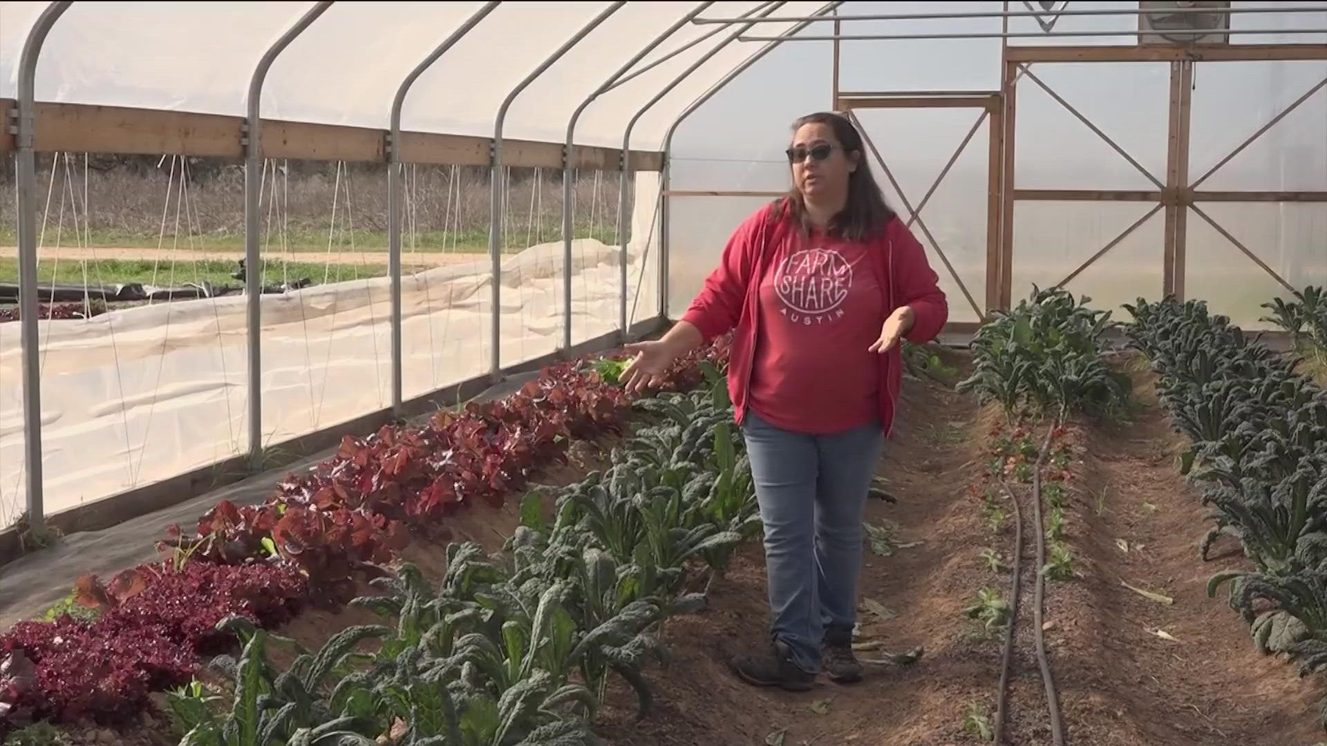 KVUE spoke with one organization that has changed the way it grows crops so it doesn't experience big losses during extreme Texas weather events.