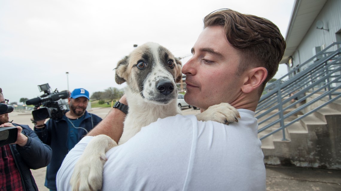 Army staff sergeant reunites with puppy he found while on duty in Iraq ...